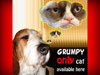 Ferrru&Grumpy