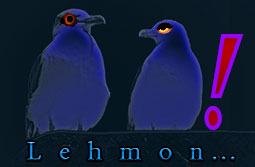 Lehmon Music - logo - Made in Essaouira